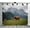 5x3ft, variant on Fabric Highland Cattle Mountain Grassland Backdrop(Suitable for Home Decoration, Animal - Themed Photoshoots, and Nature Events)Animal Style Fabric Banner