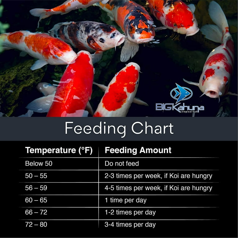 BIG Kahuna Koi Fish Food 20lbs for Small Pond Made in USA Floating Pellets inch Size 32 Protein Walmart