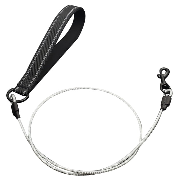 Correa para perros, disponible para adiestramiento en salidas, paseos al aire libre, etc.