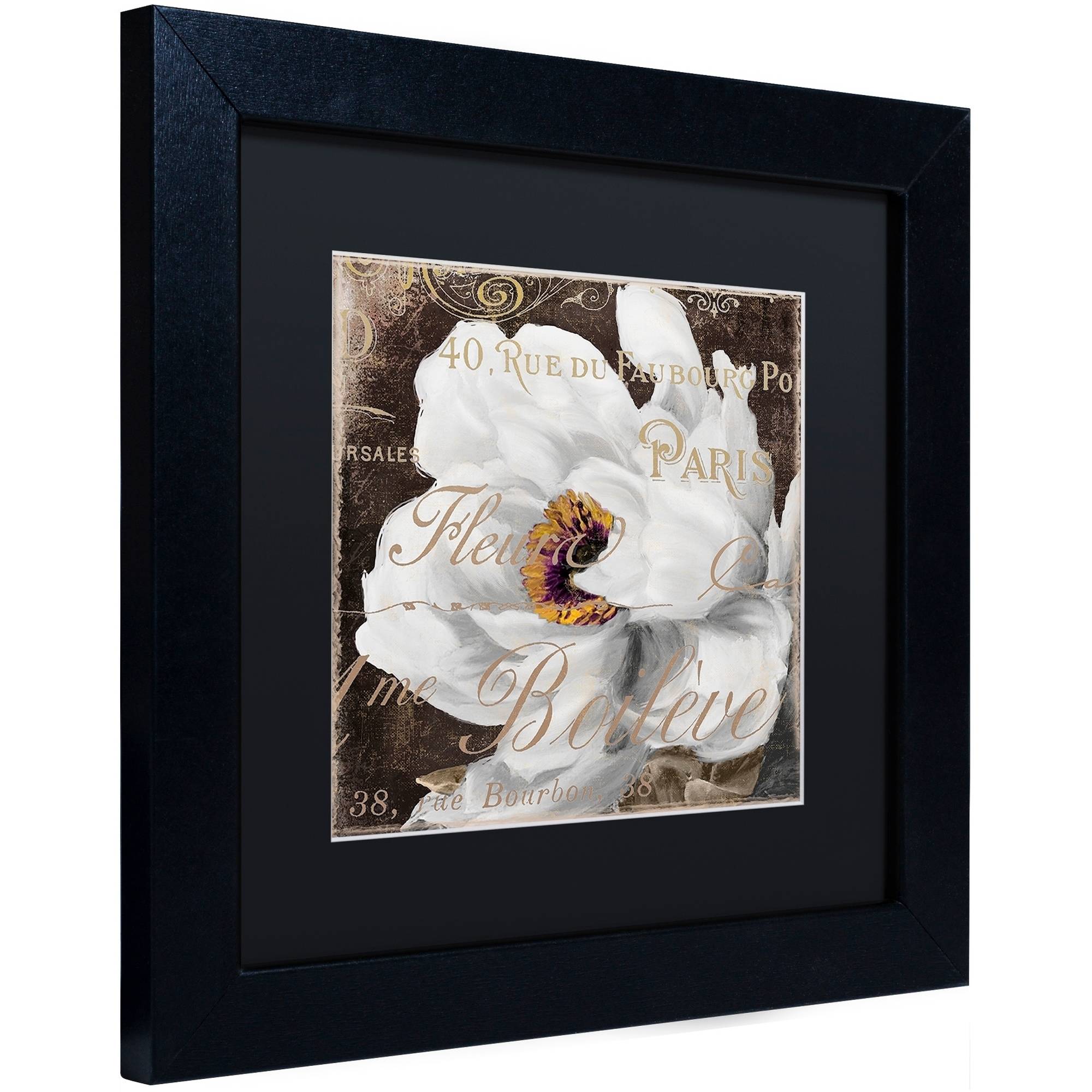 Trademark Fine Art "Fleurs Blanc III" Canvas Art by Color Bakery Black Matte, Black Frame