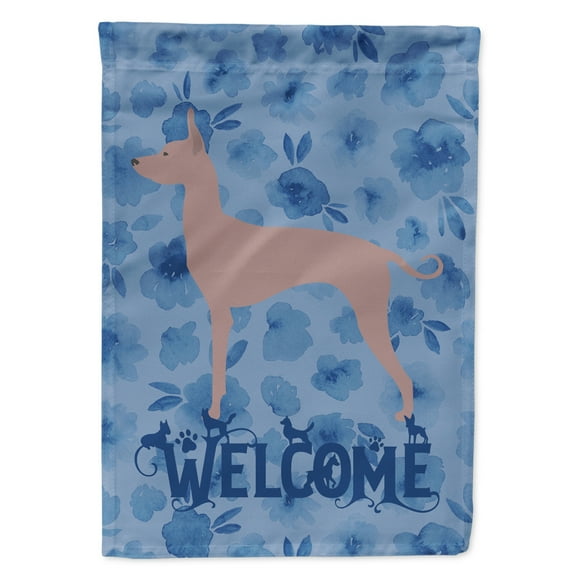 Carolines Treasures CK6194CHF Dogo Argentino Welcome Flag Canvas House Size Large multicolor