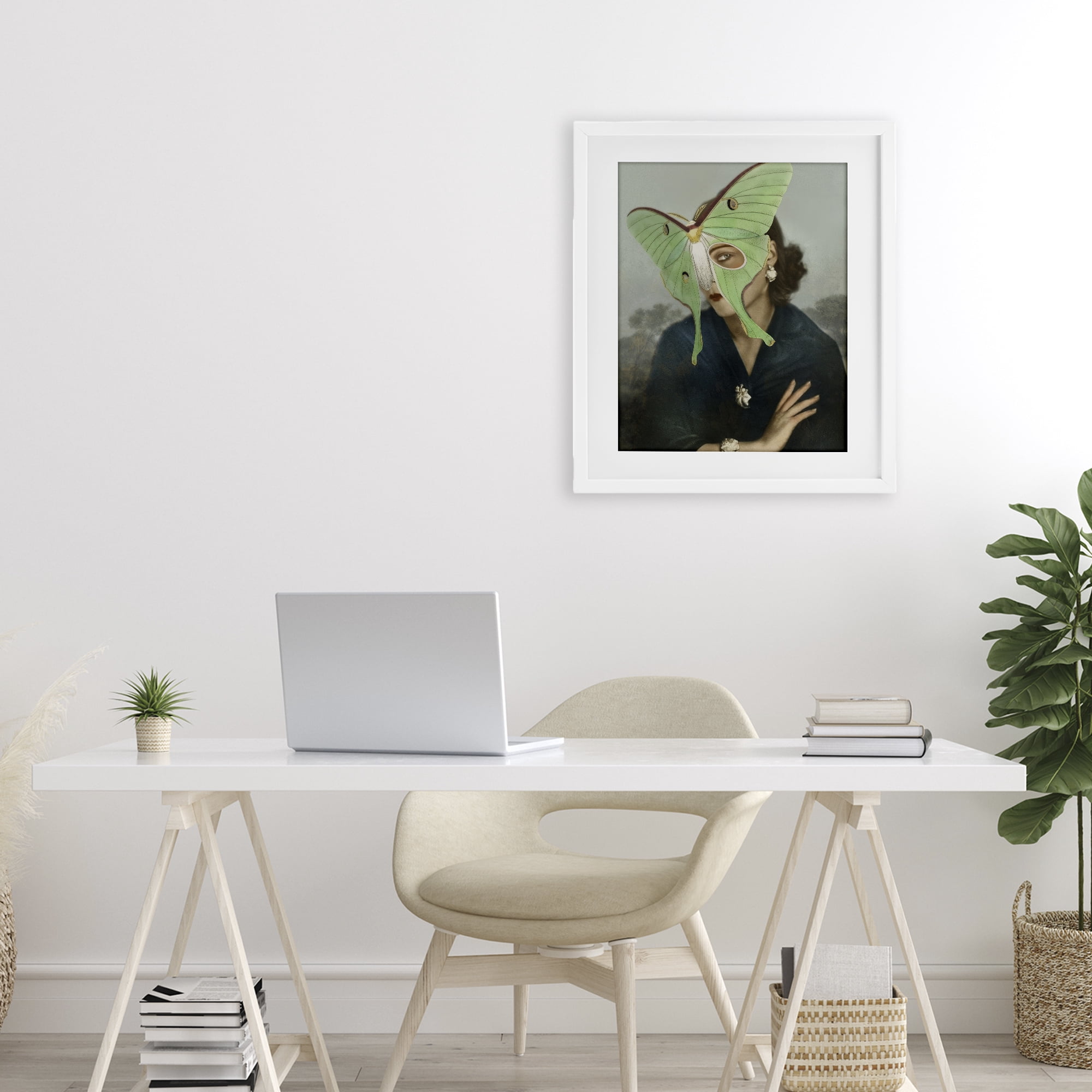 Stupell Industries Naturalist Portrait with Moth White Framed Print Under Glass, design by Victoria Barnes