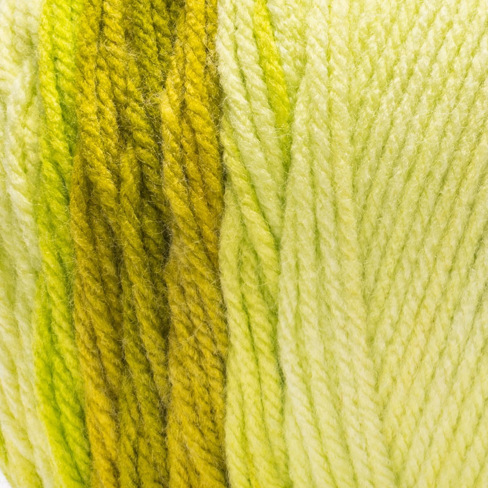 Red Heart® Super Saver Ombre™ #4 Worsted (Medium) Acrylic Yarn, Lime 10oz/283g 482 Yards (2 Pack)