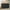 Black-with 10 Drawers, variant on ChVans White Malm 10 Drawers Dresser for Bedroom, 55" Wide 37" Tall Dresser with 10 Drawers, Modern Large Wood Chest of Drawer Handle Free, Living Room, Entryway, Hallway, White