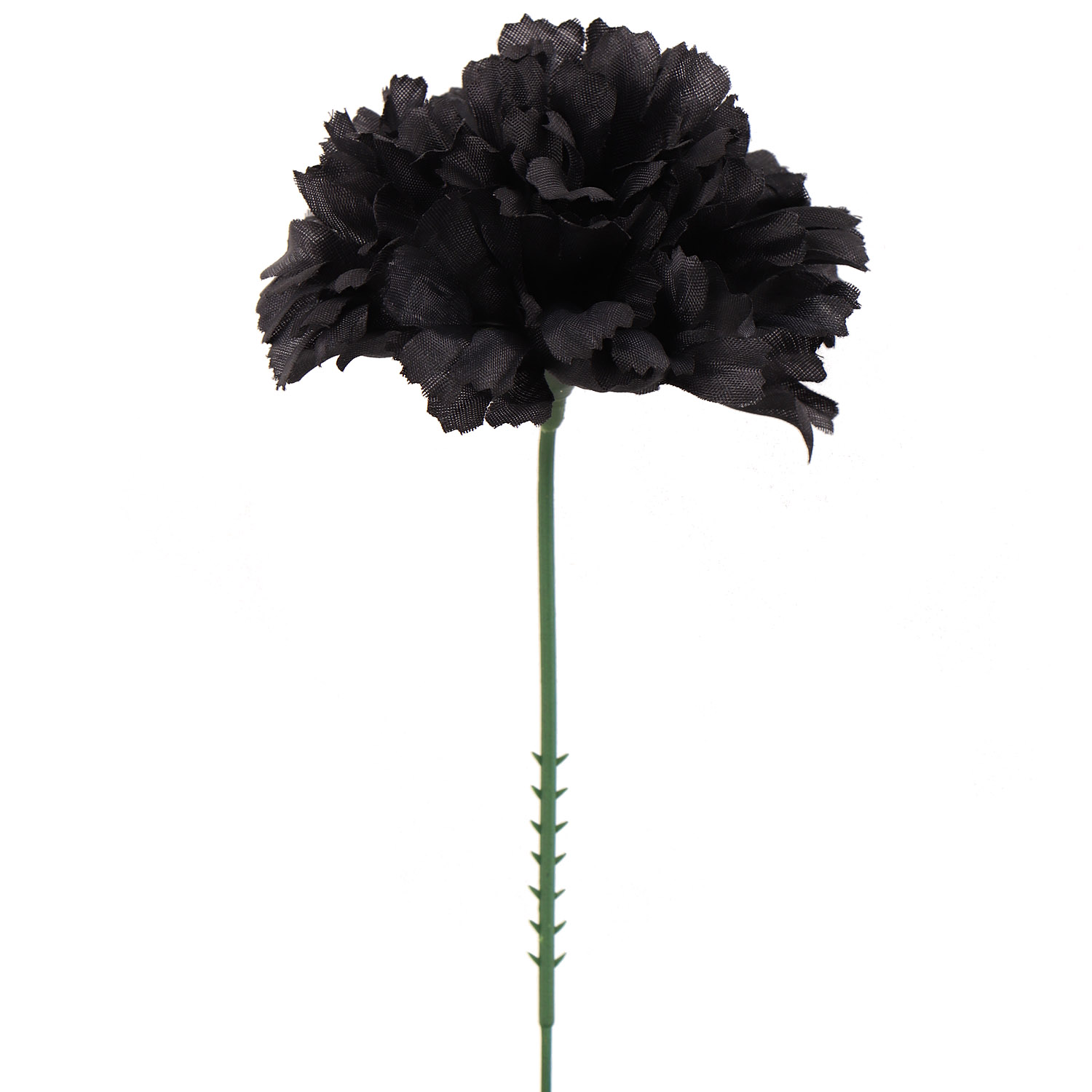 Bulk Black Carnation Picks 100 Count, Stunning Décor