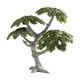 thumbnail image 4 of 5xDiorama Trees Modelos De árboles Simulados Para Proyectos De Arquitectura Modelo De Construcción, 4 of 8