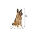 thumbnail image 3 of Hi-Line Gift Ltd Sitting Dog - German Shepherd - Large, 3 of 4