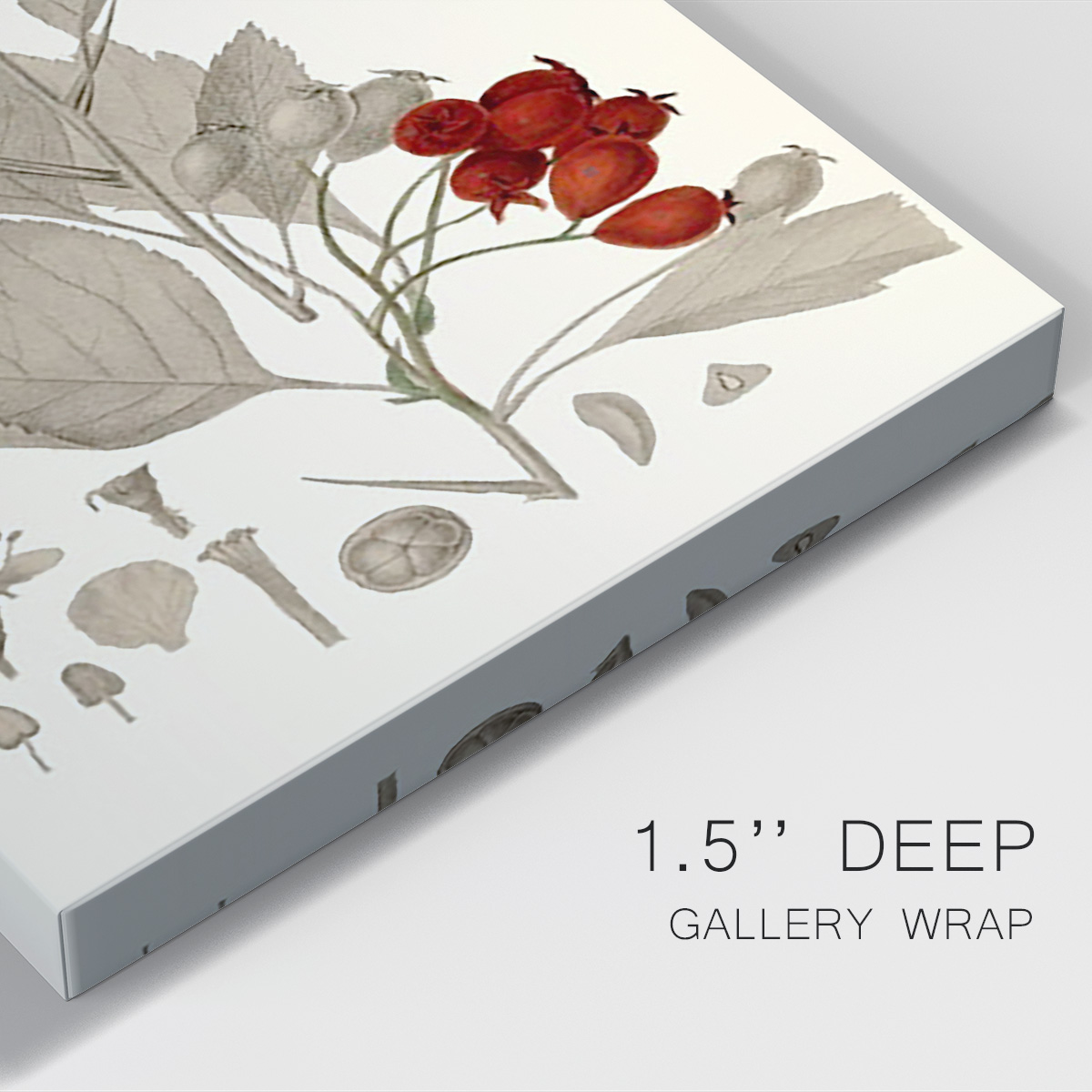 Leaves & Berries I Premium Gallery Wrapped Canvas - Ready to Hang