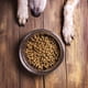 thumbnail image 3 of Pet Bowl kathson, 4 unidades, acero inoxidable, con relieve para bigotes, 22 cm, 3 of 7