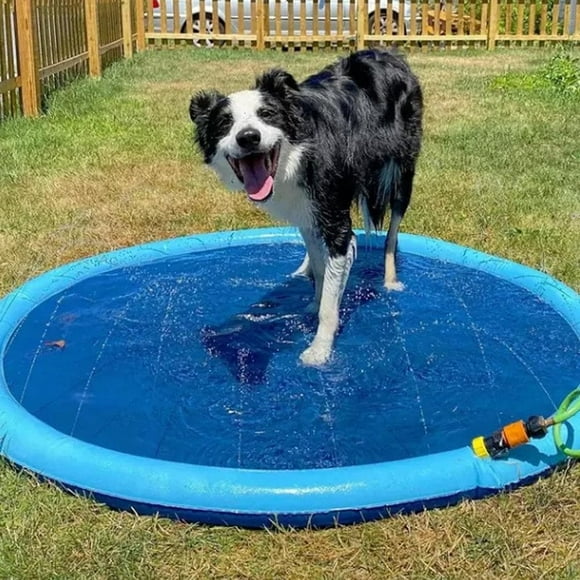 Fido Splash Pool Fido Splash Pad Splash Pad Dog Pool Fido Faves Splash Pad Fidofaves Splash Pad Pet Water Play Toy Dog Splash Pad Fun Garden Lawn Mat for Small/Medium/Large D,66.9inch,none