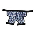 thumbnail image 4 of Pantalones Cortos Protectores de Cadera Acolchados para Niños, Pantalones Cortos Acolchados, Cojín EVA 3D, Equipo Protector de Esquí Ajustable para Pa Color, 4 of 8
