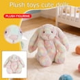 thumbnail image 2 of Kiewfjdk Easter Bunny Stuffed Animals, Soft Floppy Ear Easter Bunny Plush Toy, Pastel Rainbow, Cute Easter Rabbit Plushie for Kids, Mother's Day Gift Ideas, Festive Home Decor & Holiday Gift, 2 of 8