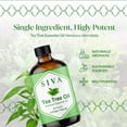 thumbnail image 4 of SIVA Tea Tree Essential Oil - 4 Fl Oz – 100% Natural Tea Tree Oil - for Diffuser, Face, Skin Care, Aromatherapy, Hair Care, Scalp and Body Massage - with Dropper, 4 of 9