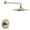 Brushed Nickel, variant on Moen Colinet Brushed Gold Shower Faucet