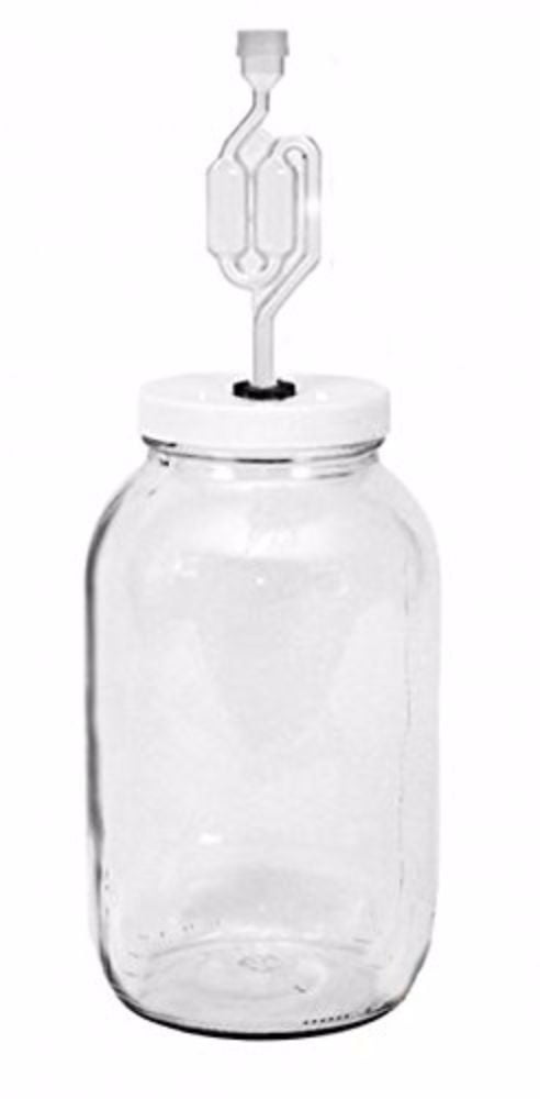 Glass Gallon Jar with Grommet Lid and S-Shaped Airlock 