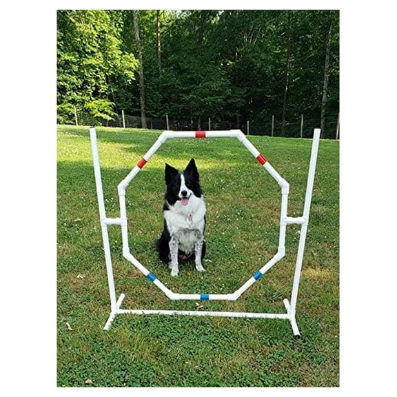 Dog Jump - Practice Tire/Hoop Jump - PVC Material - 29 Inch Diameter