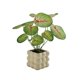 thumbnail image 1 of Plantas artificiales de simulación de vegetación en macetas pequeñas for interior, escritorio, sala de estar, mesa de centro, arreglo floral falso, 1 of 3
