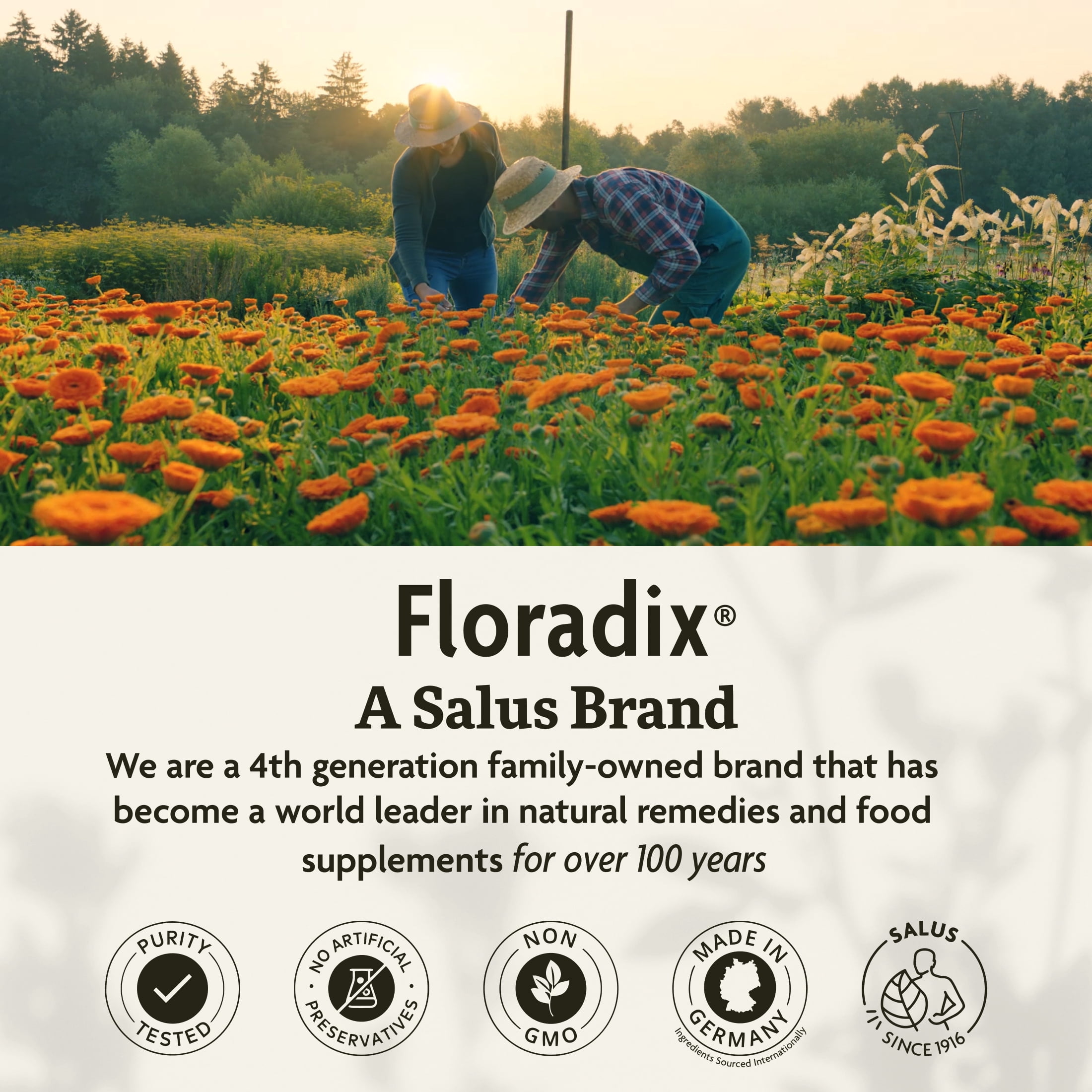 Floradix Epresat Adult Liquid Multivitamin - Herbal Supplement - Daily Supplement with Vitamin A, D, B6, Milk Thistle & More - Supports Energy & Liver Health - Vegetarian, Non-GMO - 8.5 fl oz