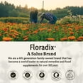 thumbnail image 7 of Floradix Epresat Adult Liquid Multivitamin - Herbal Supplement - Daily Supplement with Vitamin A, D, B6, Milk Thistle & More - Supports Energy & Liver Health - Vegetarian, Non-GMO - 8.5 fl oz, 7 of 7