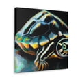 thumbnail image 5 of "Box Turtle Reflection" - Canvas, 5 of 25