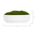 thumbnail image 3 of Better Homes & Gardens 8" Faux Moss in Ceramic Bowl, 3 of 14