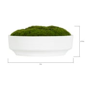 Better Homes & Gardens 8 Faux Moss in Ceramic Bowl