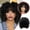 Black, variant on Wig Female Natural Small Curly High Temperature Silk Headgear Short Hair Wig for Women