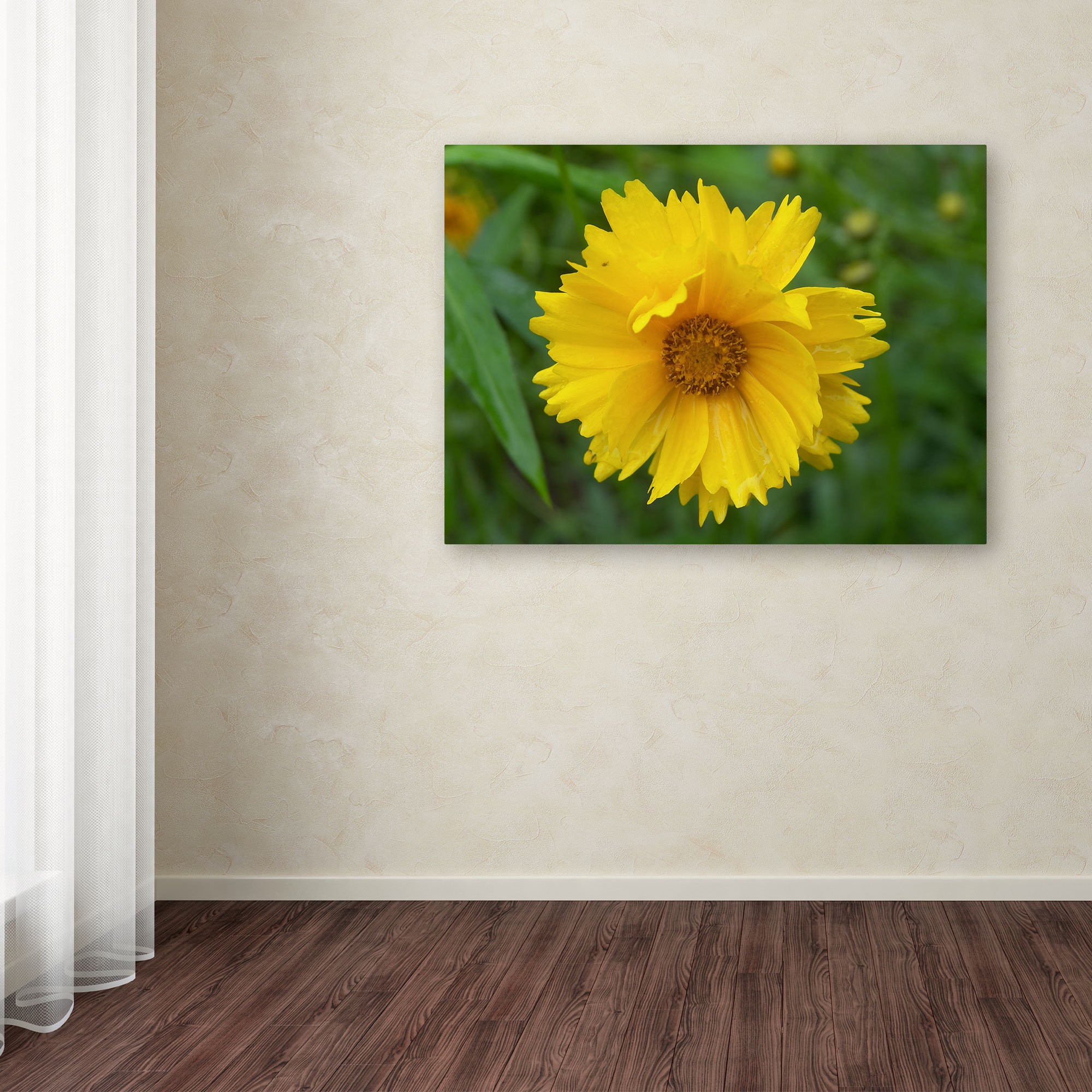 Trademark Fine Art "Purity" Canvas Art by Monica Fleet