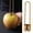 Gold-Free Size, variant on FHBVT Stainless Steel Fruit and Vegetable Corer, Manual Pitter for Apples, Cherries, and Bitter Melons, Durable and Easy to Use, Essential Kitchen Tool for Healthy Meal Prep and Cooking