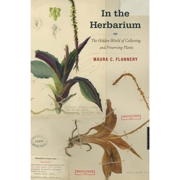 Pre-Owned In the Herbarium : The Hidden World of Collecting and Preserving Plants (Hardcover)