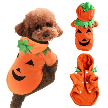 GASTROPOD Dog Halloween Costumes Whimsical Pet Halloween Costumes Polar Fleece Big Pumpkin Dog Halloween Costumes Girl M