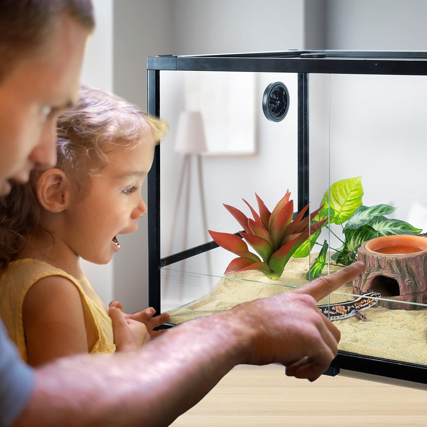 Xwl 3 in 1 Reptile Hide Cave with Detachable Base & Humidity Dish, Essential Tank Terrarium Decor Humid Hideout Accessories for Small Reptiles Crested Gecko, Leopard Gecko, Lizard, Snake, Crabs