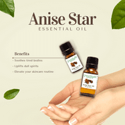 Anise Star Essential Oil - 1/6 fl oz (5 ml) Glass Bottle w/ Euro Dropper - 100% Pure Essential Oil by GreenHealth
