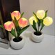 thumbnail image 2 of LED Tulip Night Light with Ceramic Fower Pot, LED Simulation Tulip Table Lamp Birthday Gift for for Women Mom, 2 of 5