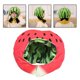 thumbnail image 5 of Sombrero de sandía, Durable Head Cover Headgear Novedad Fruit Headwear para suministros Accesorios de Navidad Carnaval Cosplay Hugo Sombrero de sandía, 5 of 9