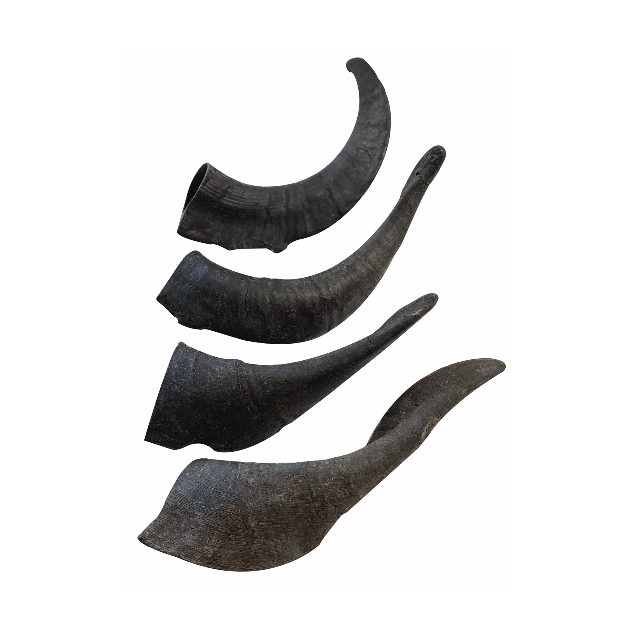 Mountain Goat Horn -100% Natural, Long-Lasting Dog Chews & Treats, New, 10 Count-10 oz