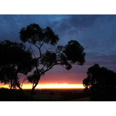 24 X 36 Natural - LAMINATED POSTER Cloud Horizon Scenery Natural Sunset Tree Scenic Poster Print 24 x 36