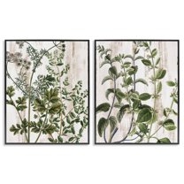 Stupell Industries Aged Botanical Leaves Plants & Flowers Painting Black Framed Art Print Wall Art, 16 x 20, Set of 2