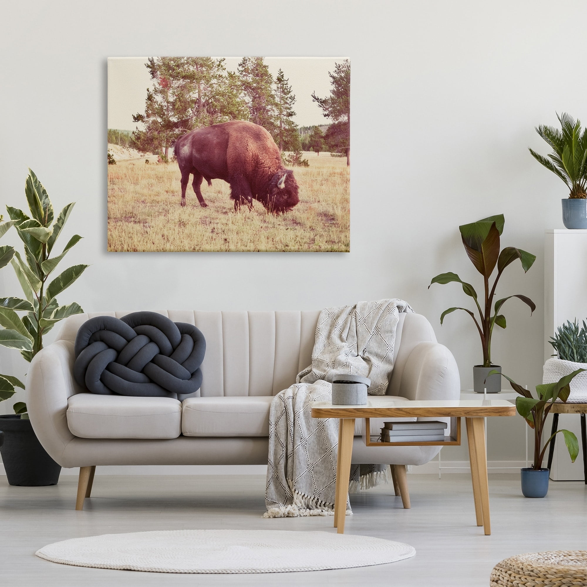 Stupell Wild Bison Rural Nature Scenery Animals & Insects Photography Gallery Wrapped Canvas Print Wall Art