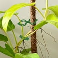 vankin Plant Support Clips for Garden Use, Green Plant Hanging Binding