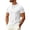 White-A-110522aa, variant on Trgacdwlo Men's Ice Silk T-Shirt Crew Neck Mens Short Sleeve Dress Shirts Quick Dry Cooling Summer Mens Athletic Shirts White XL