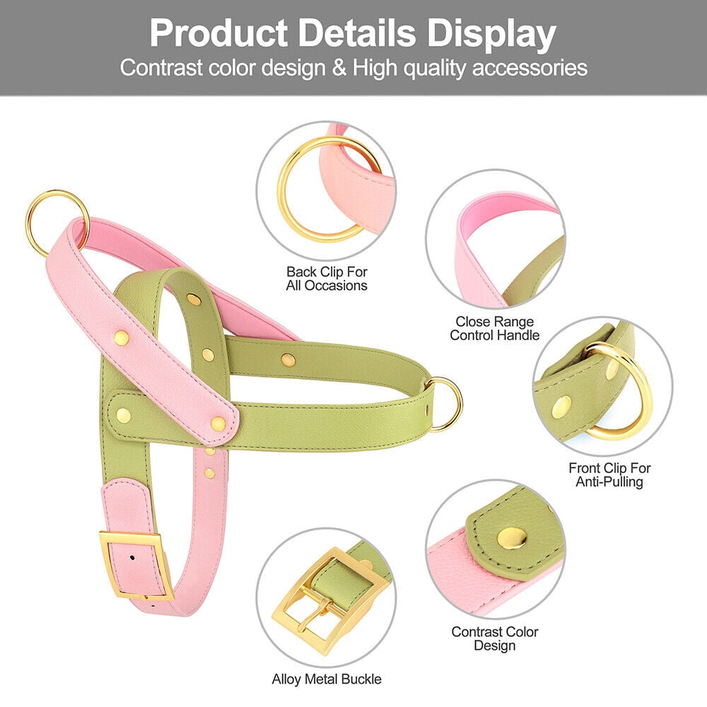 Didog Fashion No Pull Front Leading Dog Harness Soft Leather Adjustable Chest Vest with Handle