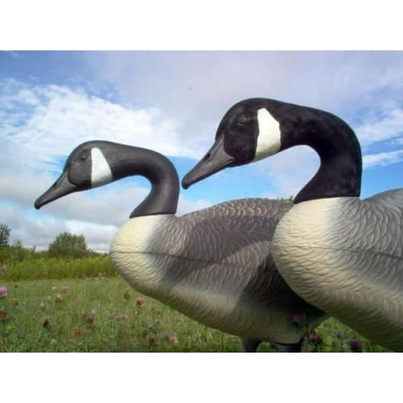 Canada Goose Decoy Flocking Kit Medium 50 Decoy Heads