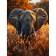 thumbnail image 1 of Qisvanset 12x16 Inch African Elephant Canvas Wall Art, Safari Wildlife Portrait Ready To Hang Home Decor, 1 of 8