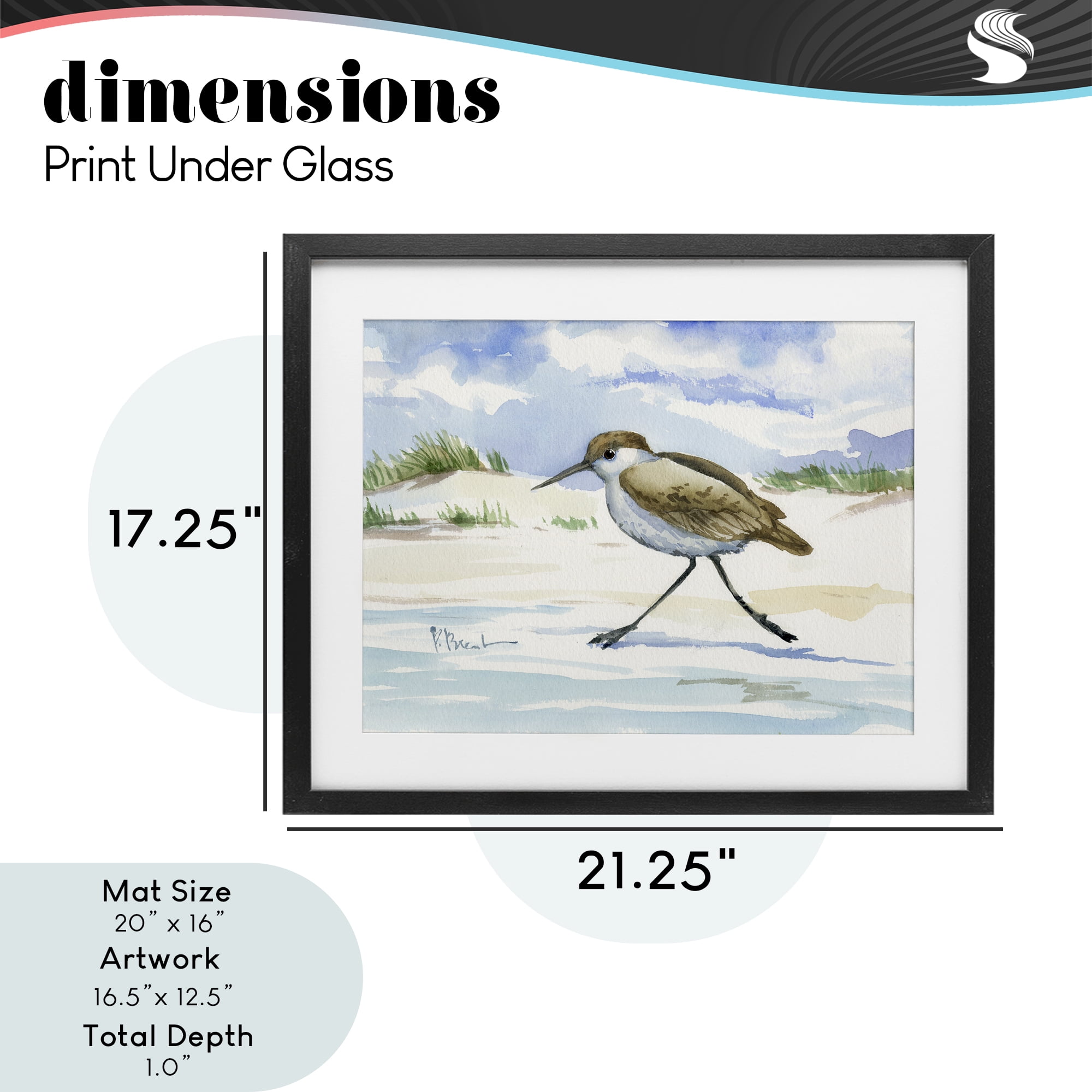 Stupell Industries Inlet Beach Sandpiper Running Black Framed Print Under Glass, design by Paul Brent