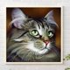 thumbnail image 1 of Cuadros Decorativos Kit de pintura por números DIY Cat Hand Oil Art Picture Craft Home Wall Decor (H1161) Wdftyju  embutido en tela, 1 of 9