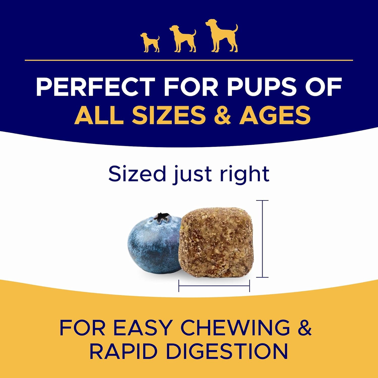 Chews with Salmon Oil for Dogs (180 Ct), Omega 3 & Fish Oil for Dogs - Dog Allergy Relief & Itchy Skin Relief - Hip & Joint Support - Shiny Coats - EPA & DHA Fatty Acids - Promotes Heart, Brain