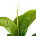 thumbnail image 5 of Northlight Artificial Potted Rubber Plant - 51", 5 of 8