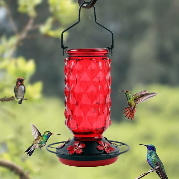 karymi Hummingbird Feeder 5 Feeding Ports Glass Hummingbird Feeders for Outdoors Wide Mouth for Easy Filling Cleaning Hanging for Garden Backyard Decor Holiday Gifts