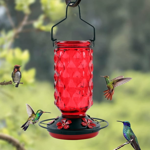Comedero de cristal para colibríes | 5 puertos de alimentación, boca ancha, junta impermeable, fácil de limpiar | Comedero para pájaros exterior colgante para decoración de jardín o jardín trasero